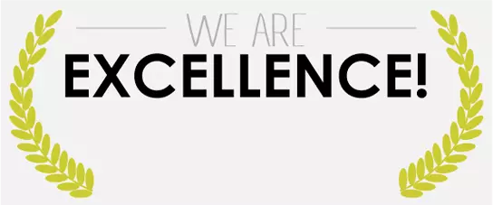 Image - winner of We are Excellence award